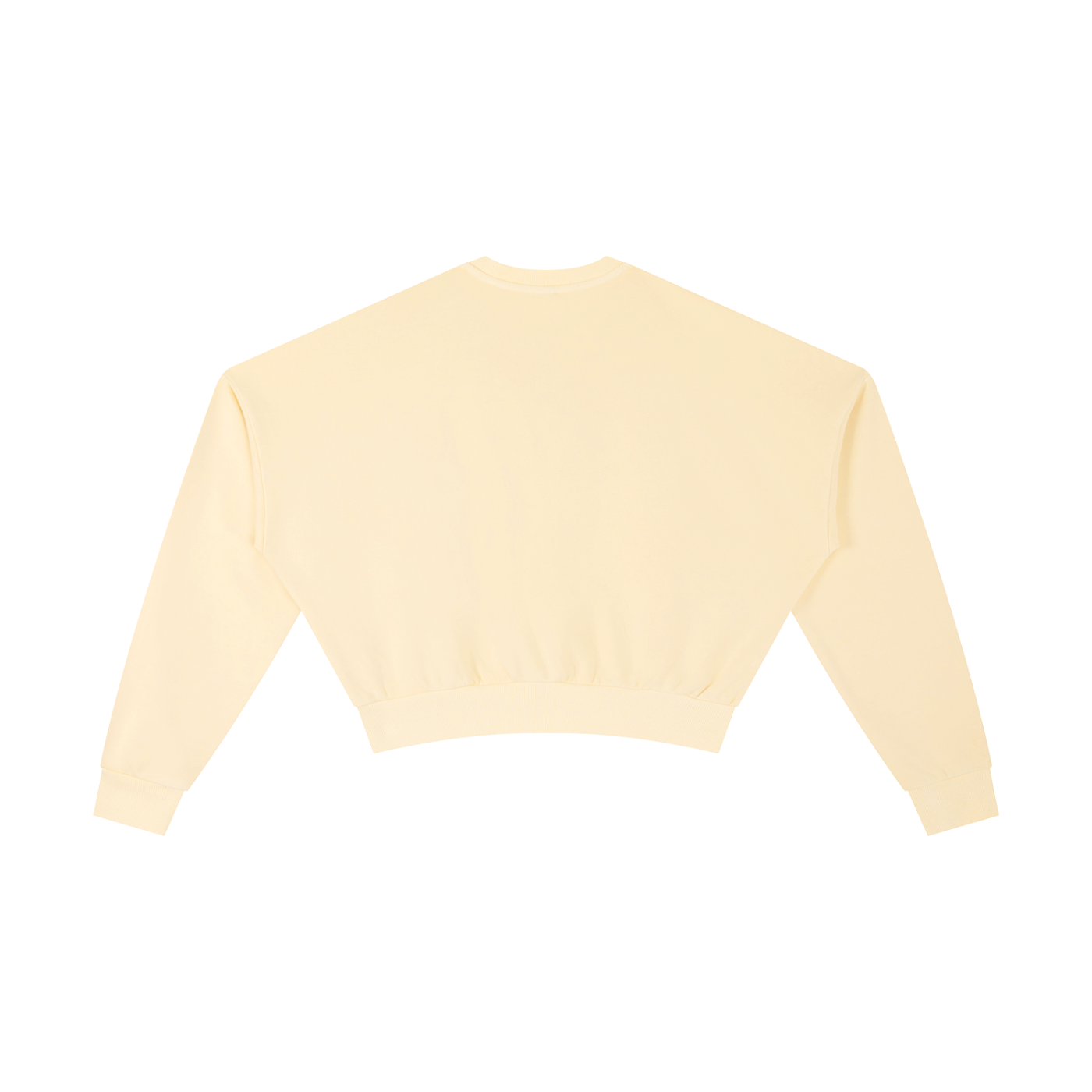 Vintage Washed Cropped Sweatshirt ODMPOD