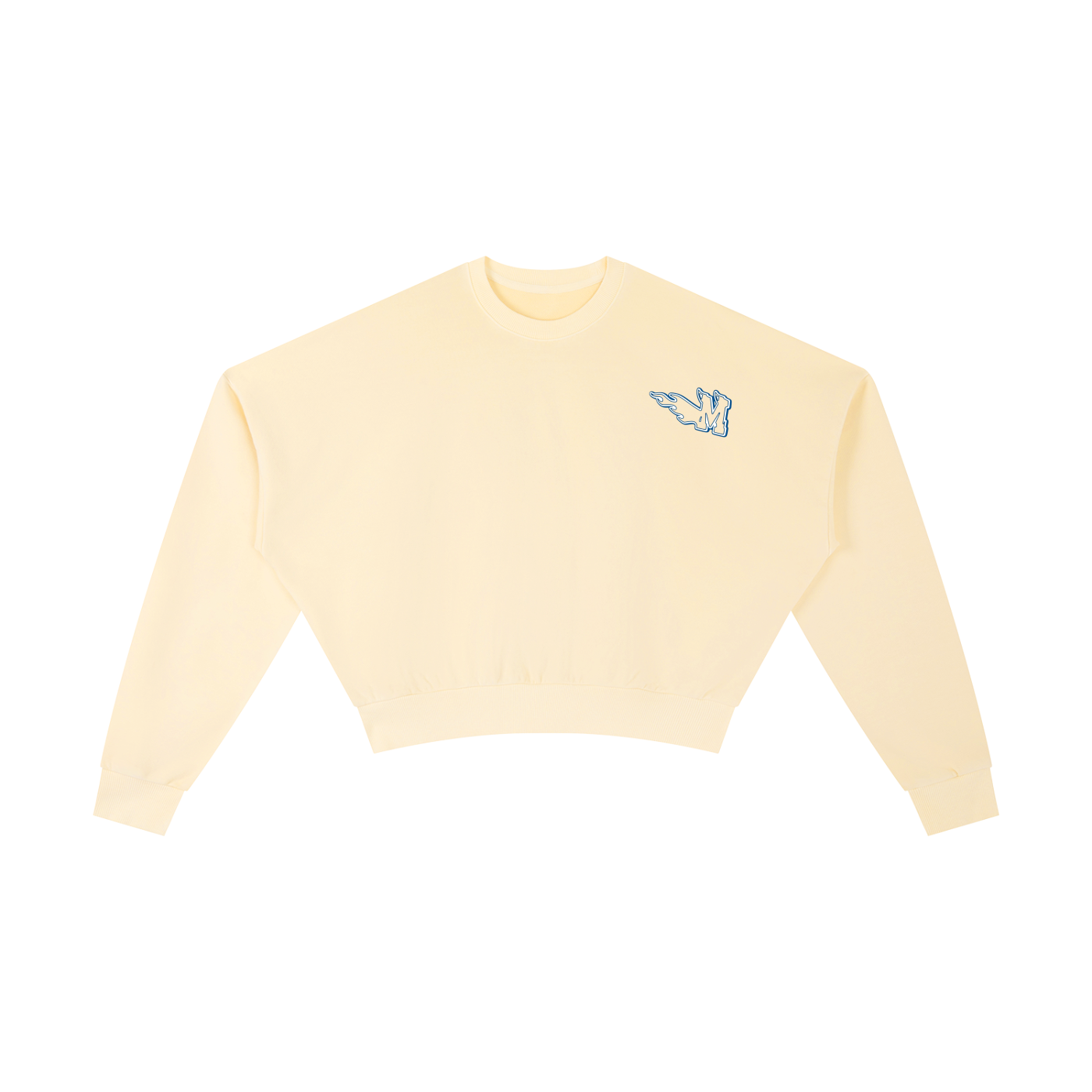 Vintage Washed Cropped Sweatshirt ODMPOD